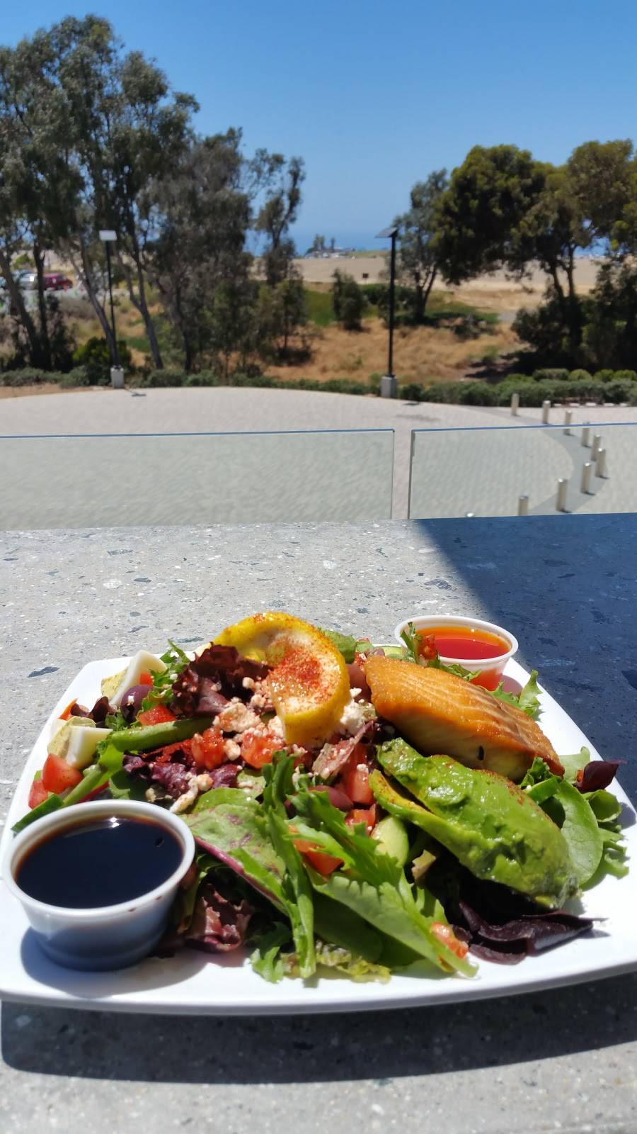 Bella Vista Social Club & Caffe | cafe | 2880 Torrey Pines Scenic Dr, La Jolla, CA 92037, USA | 8585349624 OR +1 858-534-9624