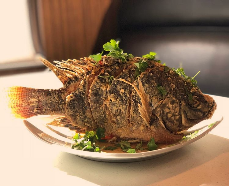 Tai Kadai Kitchen | restaurant | 8877 Valley Blvd, Rosemead, CA 91770, USA | 6268720026 OR +1 626-872-0026