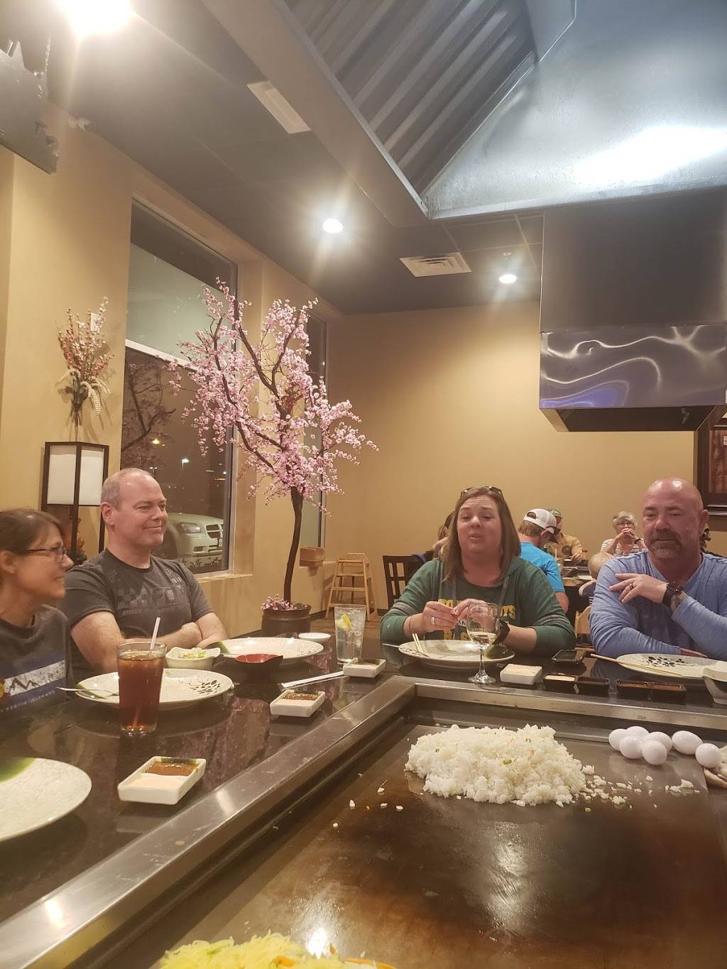 Otani Sushi Hibachi Restaurant | restaurant | 415 Adams Dr #435, Weatherford, TX 76086, USA | 8175985955 OR +1 817-598-5955