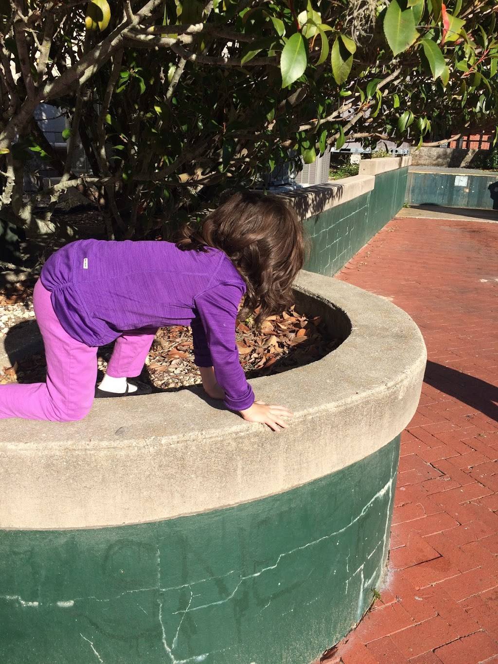 Starbucks | cafe | 201 SE 1 St Suite 107/108, Gainesville, FL 32601, USA | 3523748227 OR +1 352-374-8227