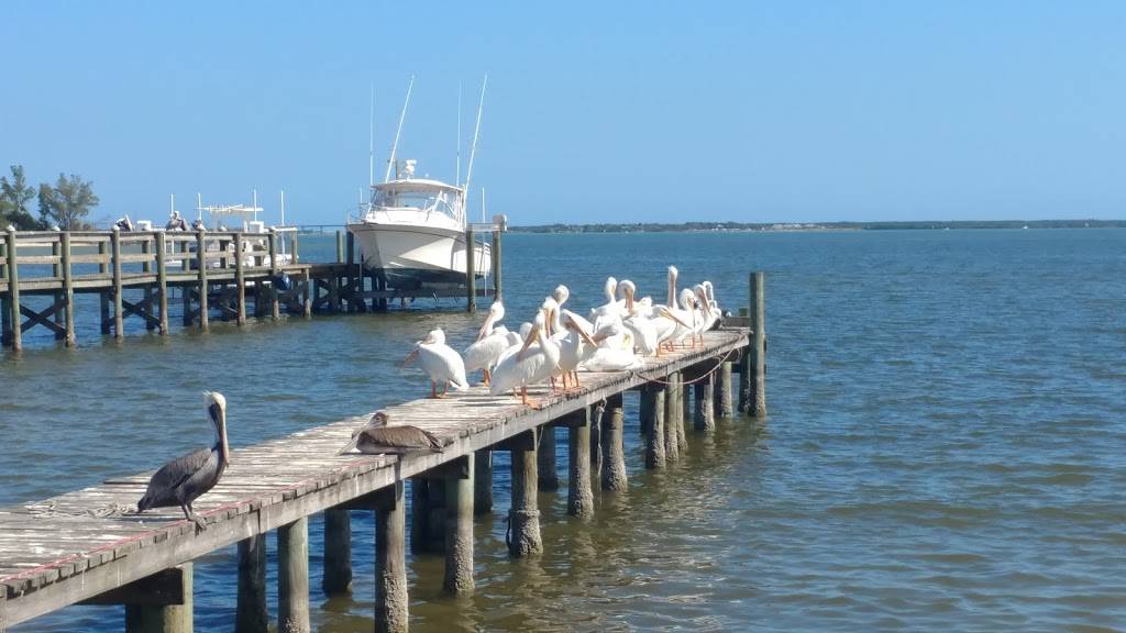 Judah & Son | restaurant | 13390 N Indian River Dr, Sebastian, FL 32958, USA | 7725895315 OR +1 772-589-5315