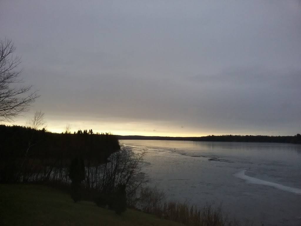 Wolf Point Bar & Grill | restaurant | 4186 Co Hwy F, Springbrook, WI 54875, USA | 7154664582 OR +1 715-466-4582