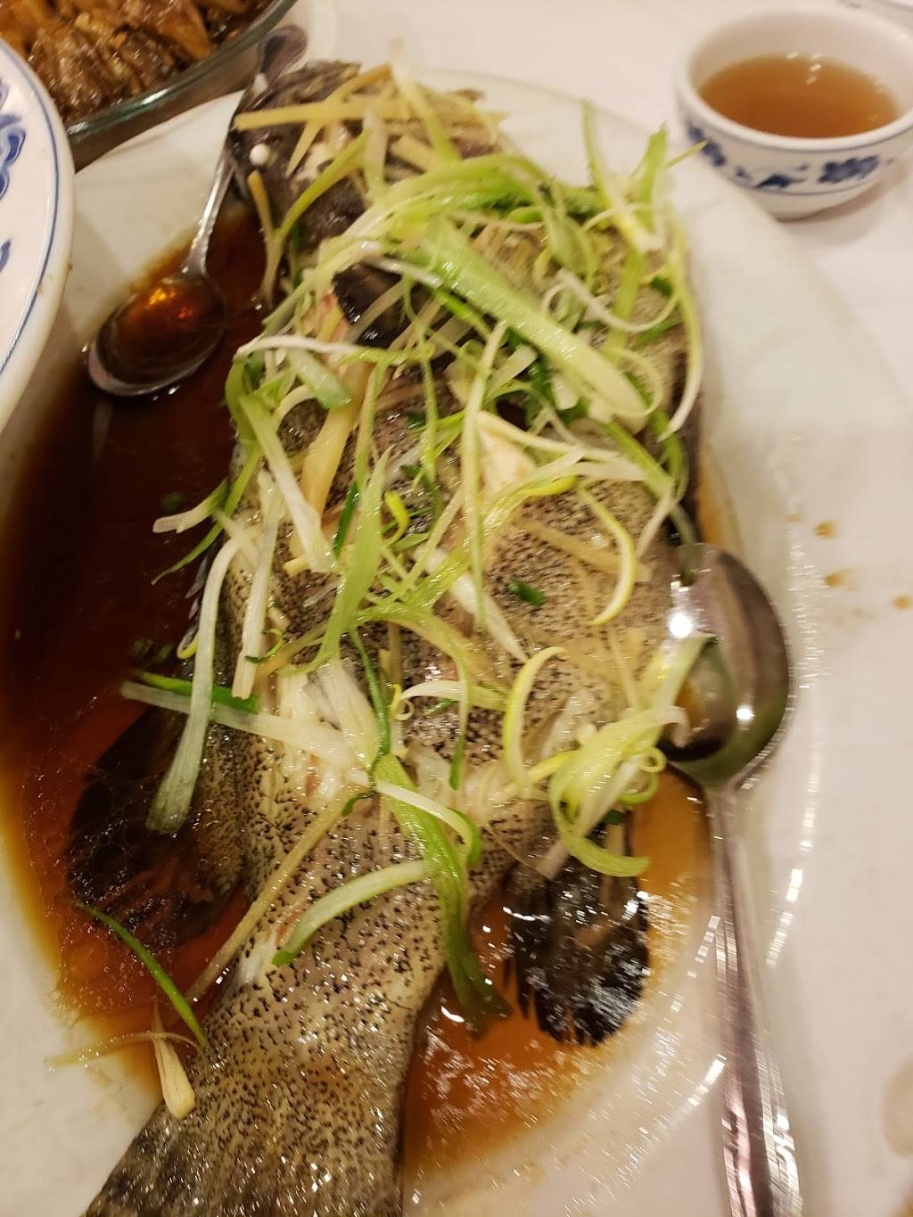 Fortune Wheel | restaurant | 3601 Hempstead Turnpike, Levittown, NY 11756, USA | 5165794700 OR +1 516-579-4700