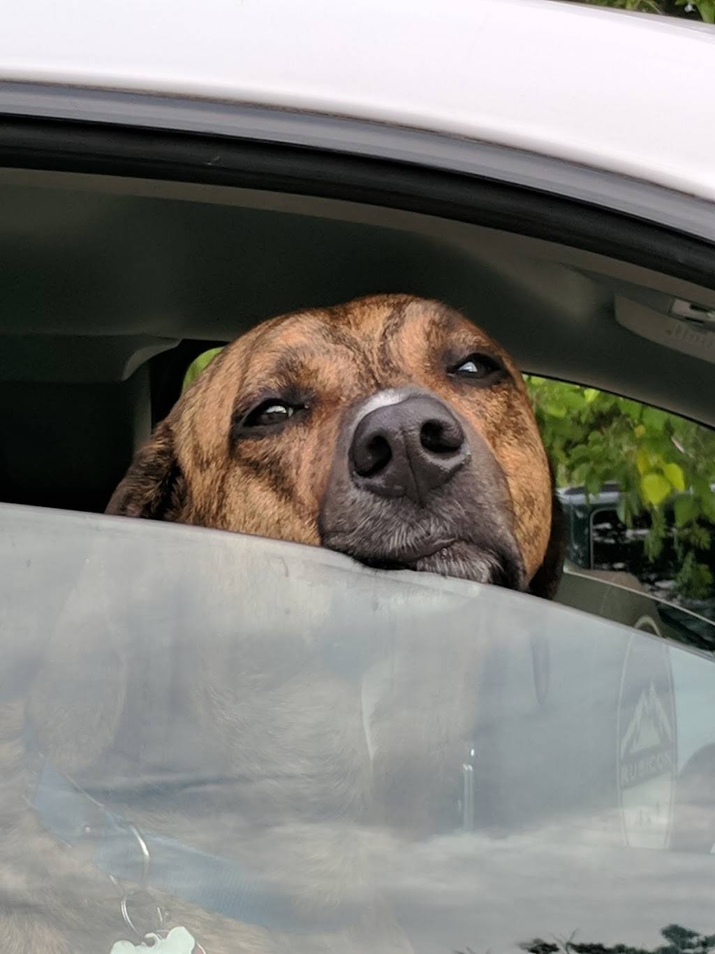 Wilsons Rivers Edge Restaurant | restaurant | 4208 S Straits Hwy, Indian River, MI 49749, USA | 2312388111 OR +1 231-238-8111