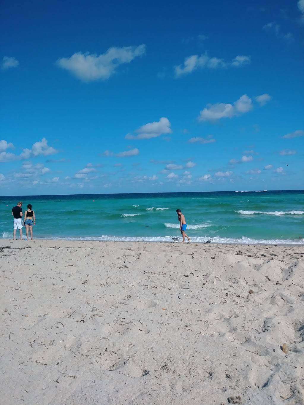 El Sol De Miami Garden Restaurant | restaurant | 3397 NW 151st Terrace, Opa-locka, FL 33054, USA | 7863324194 OR +1 786-332-4194