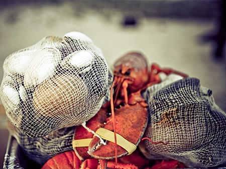 Clambakes Etc | restaurant | 2952 Falmouth Rd, Osterville, MA 02655, USA | 5084200500 OR +1 508-420-0500