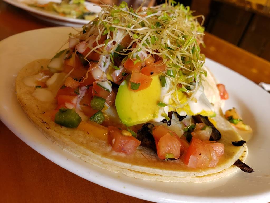 Jungle Cafe | restaurant | 131 Greenpoint Ave, Brooklyn, NY 11222, USA | 3479874981 OR +1 347-987-4981