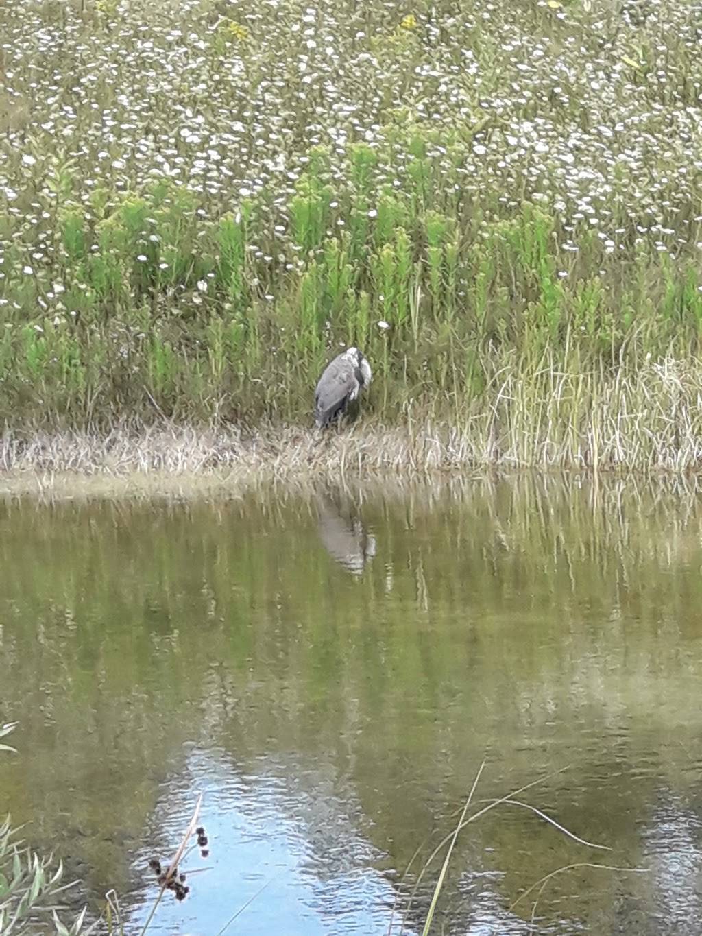 Marlwood Golf & Country Club | restaurant | 31 Marlwood Ave, Wasaga Beach, ON L9Z 1S8, Canada | 7053525600 OR +1 705-352-5600