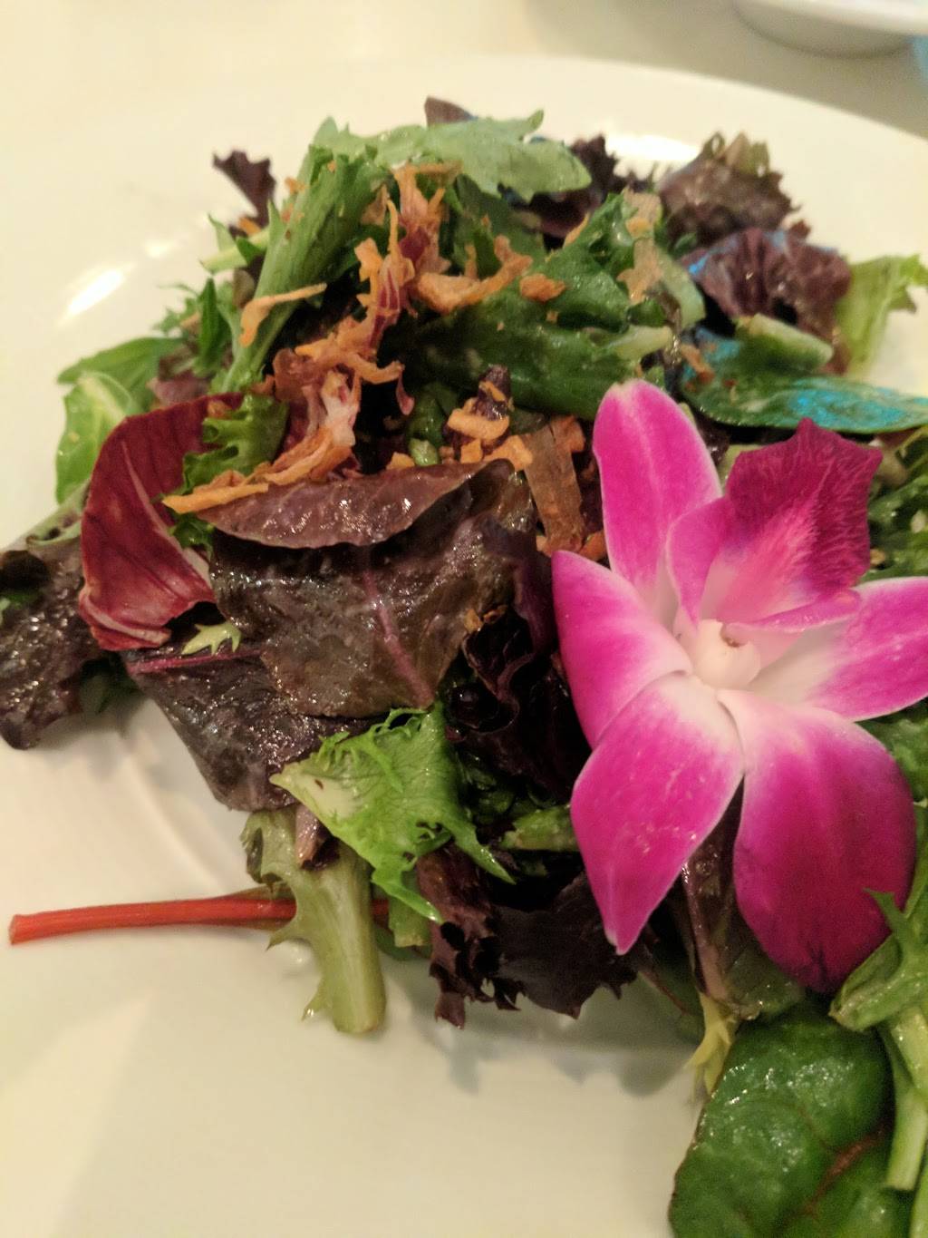 Morimoto Sushi Bar | restaurant | 501 E Camino Real, Boca Raton, FL 33432, USA | 5614473640 OR +1 561-447-3640