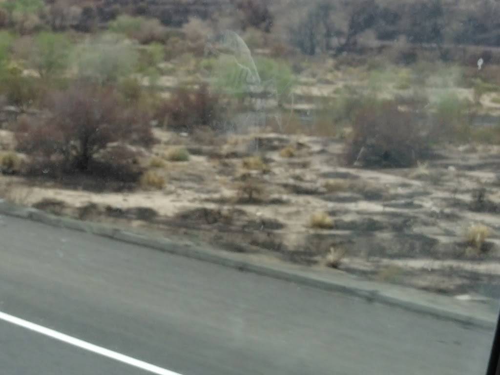 Subway | restaurant | 14949 Cajon Blvd, Phelan, CA 92371, USA | 7602495947 OR +1 760-249-5947