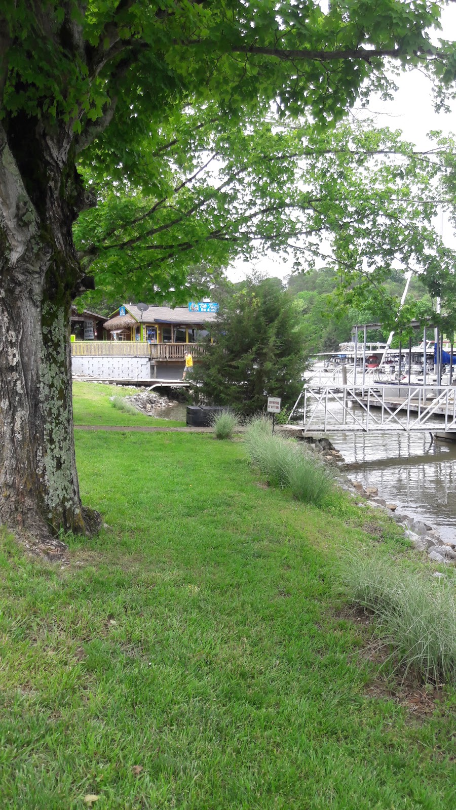 Tiki Taco Bar And Grill | restaurant | 259 Cedar Crest Ln, Friendsville, TN 37737, USA | 8653369333 OR +1 865-336-9333