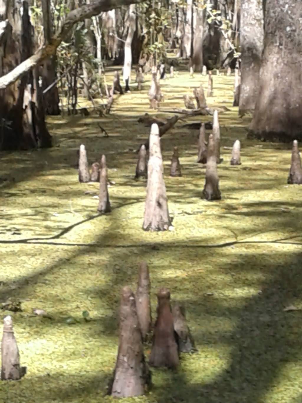 Kevins Cajun Seafood | restaurant | 12555 Home Port Dr, Maurepas, LA 70449, USA | 2256983899 OR +1 225-698-3899