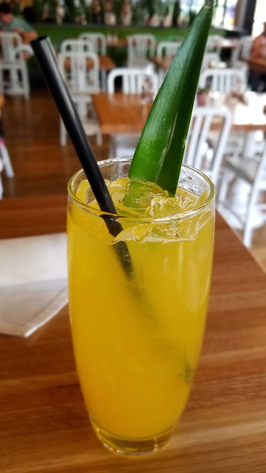 True Food Kitchen | restaurant | 2502 E Camelback Rd Suite 135, Phoenix, AZ 85016, USA | 6027743488 OR +1 602-774-3488