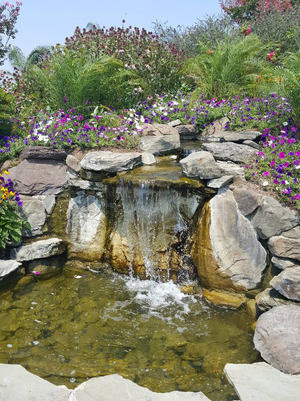 Herrington Harbour South | restaurant | 7149 Lake Shore Dr, North Beach, MD 20714, USA | 3018558399 OR +1 301-855-8399