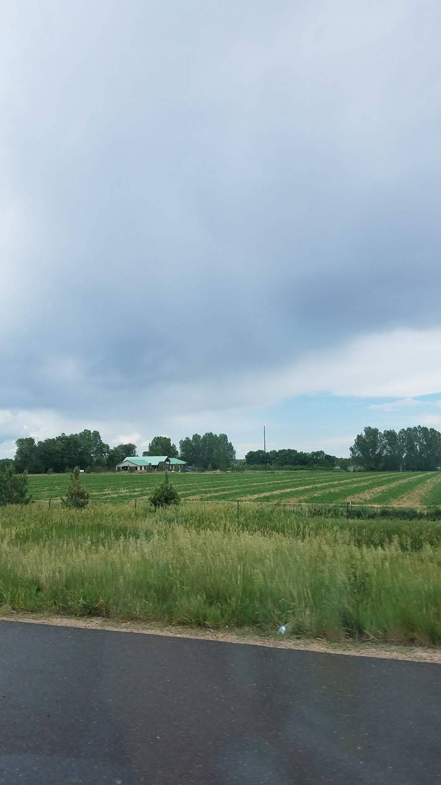 Ptarmigan Country Club | restaurant | 5416 Vardon Way, Fort Collins, CO 80528, USA | 9702268555 OR +1 970-226-8555