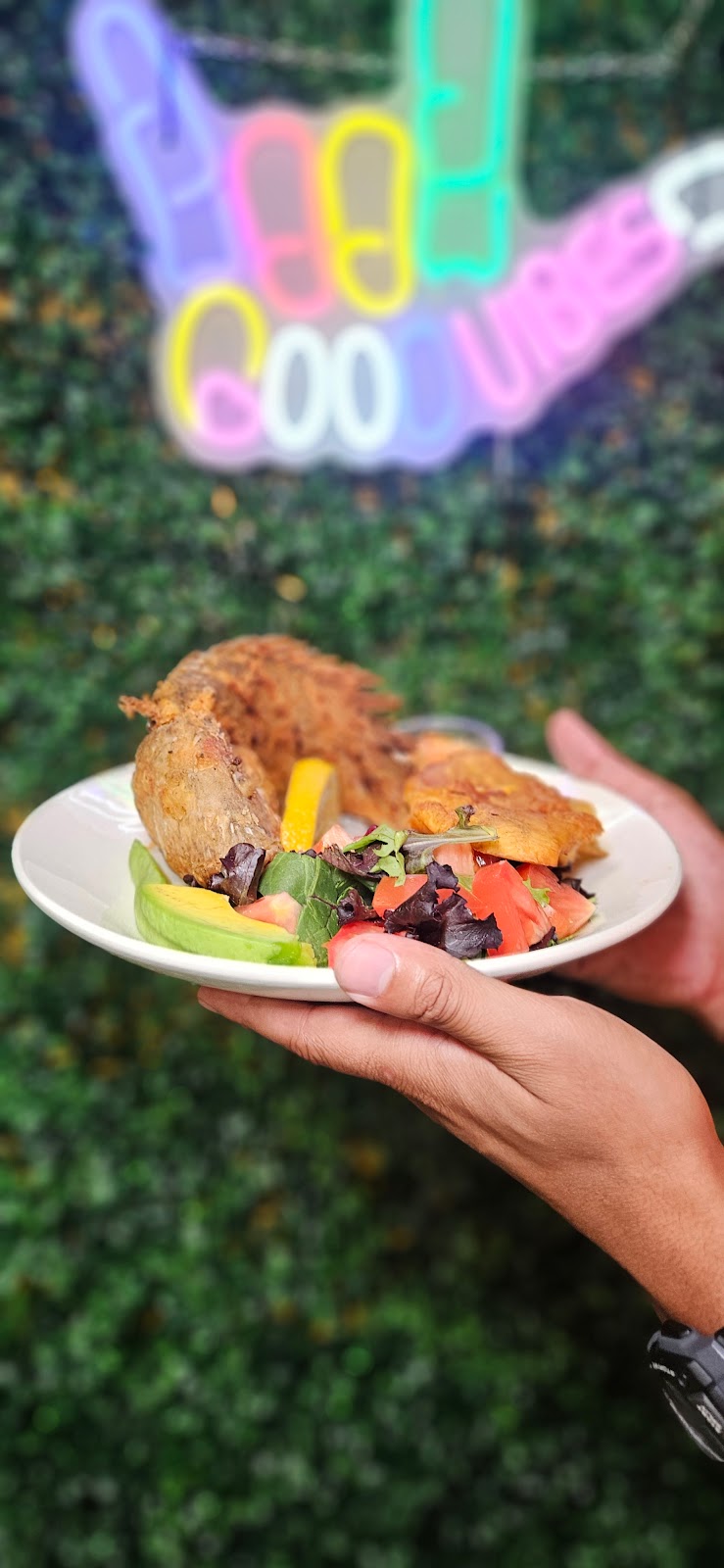 Lakou Haitian restaurant | restaurant | 5630 N Graham St, Charlotte, NC 28269, USA | 9808589556 OR +1 980-858-9556