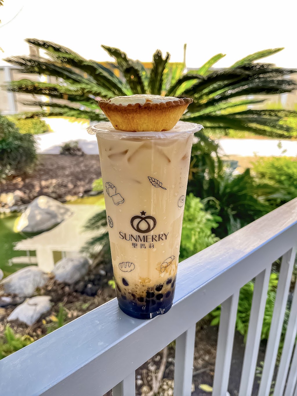 Lollicup | cafe | 14805 Jeffrey Rd A, Irvine, CA 92618, USA | 9495599436 OR +1 949-559-9436