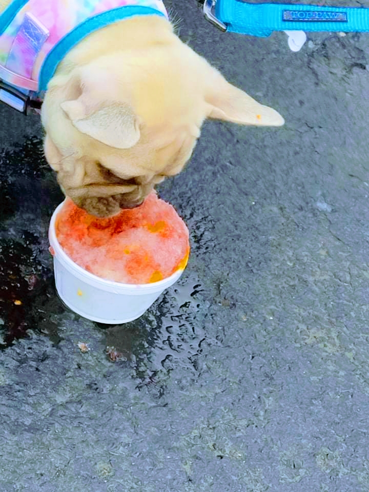 Inolvis Shave Ice Temptations - PRP | restaurant | 7274 Dixie Hwy, Louisville, KY 40258, USA | 2708835938 OR +1 270-883-5938