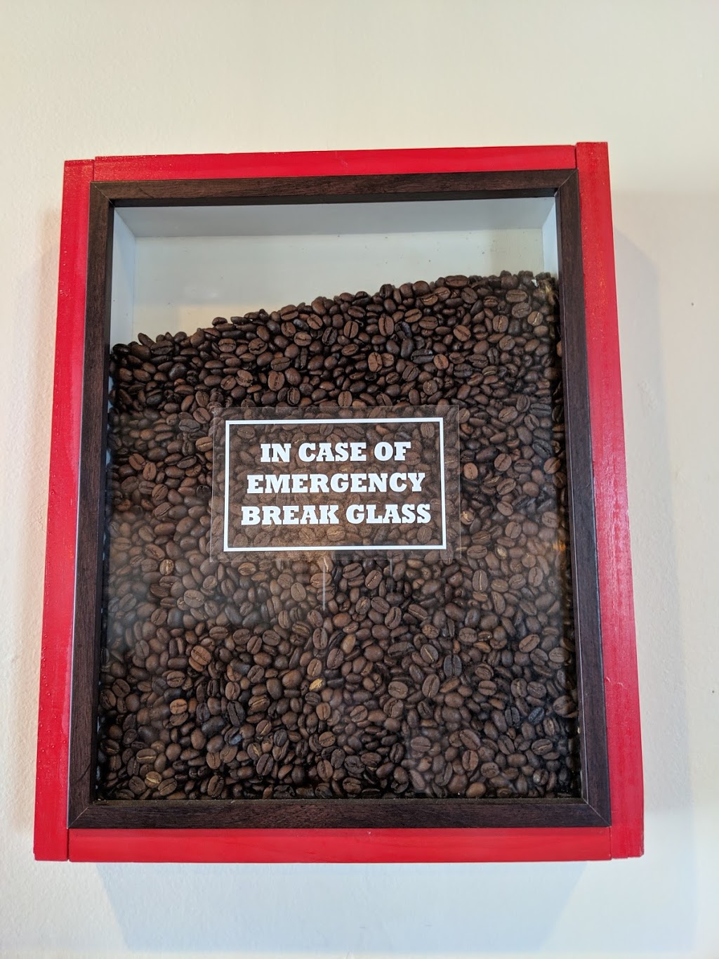 The Horn Coffee | cafe | 619 Murfreesboro Pike, Nashville, TN 37210, USA | 6153971977 OR +1 615-397-1977