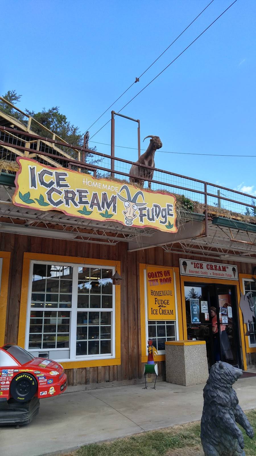 Goats On The Roof | restaurant | 3026 US-441, Tiger, GA 30576, USA | 7067822784 OR +1 706-782-2784