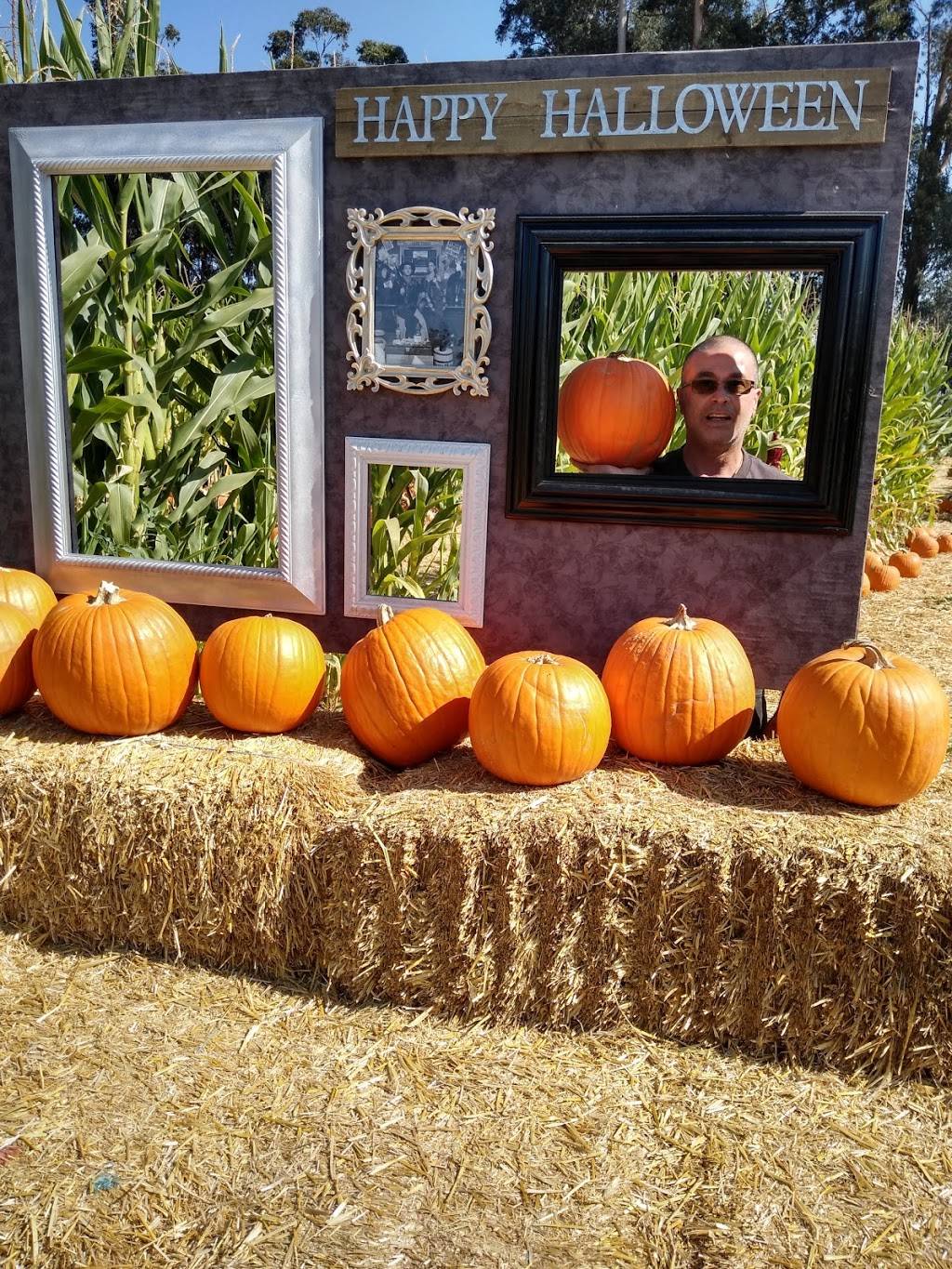 Stanly Lane Smokehouse | restaurant | 3100 Golden Gate Dr, Napa, CA 94558, USA | 7072242575 OR +1 707-224-2575