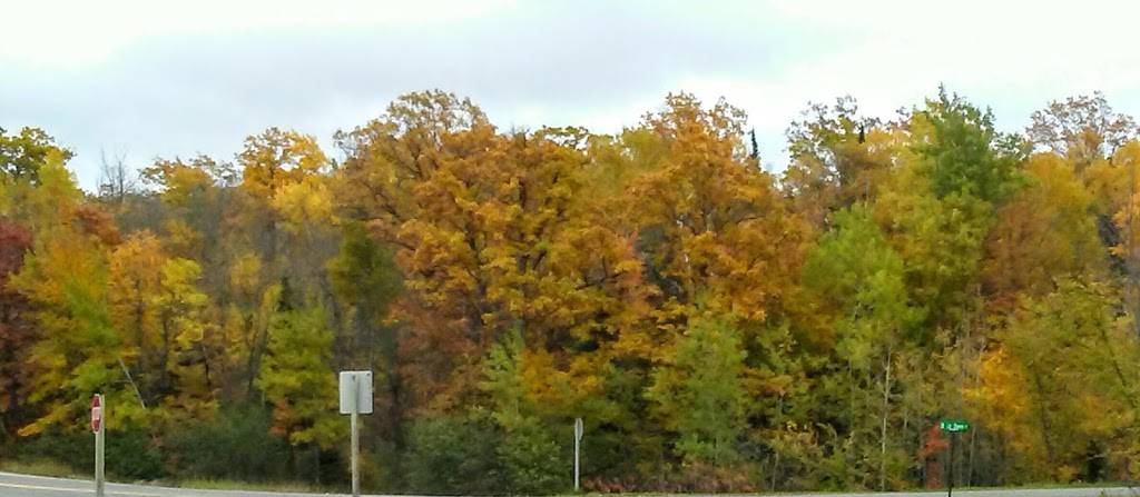 Black Bear Inn | restaurant | 15050 US Hwy 63, Drummond, WI 54832, USA | 7157396313 OR +1 715-739-6313