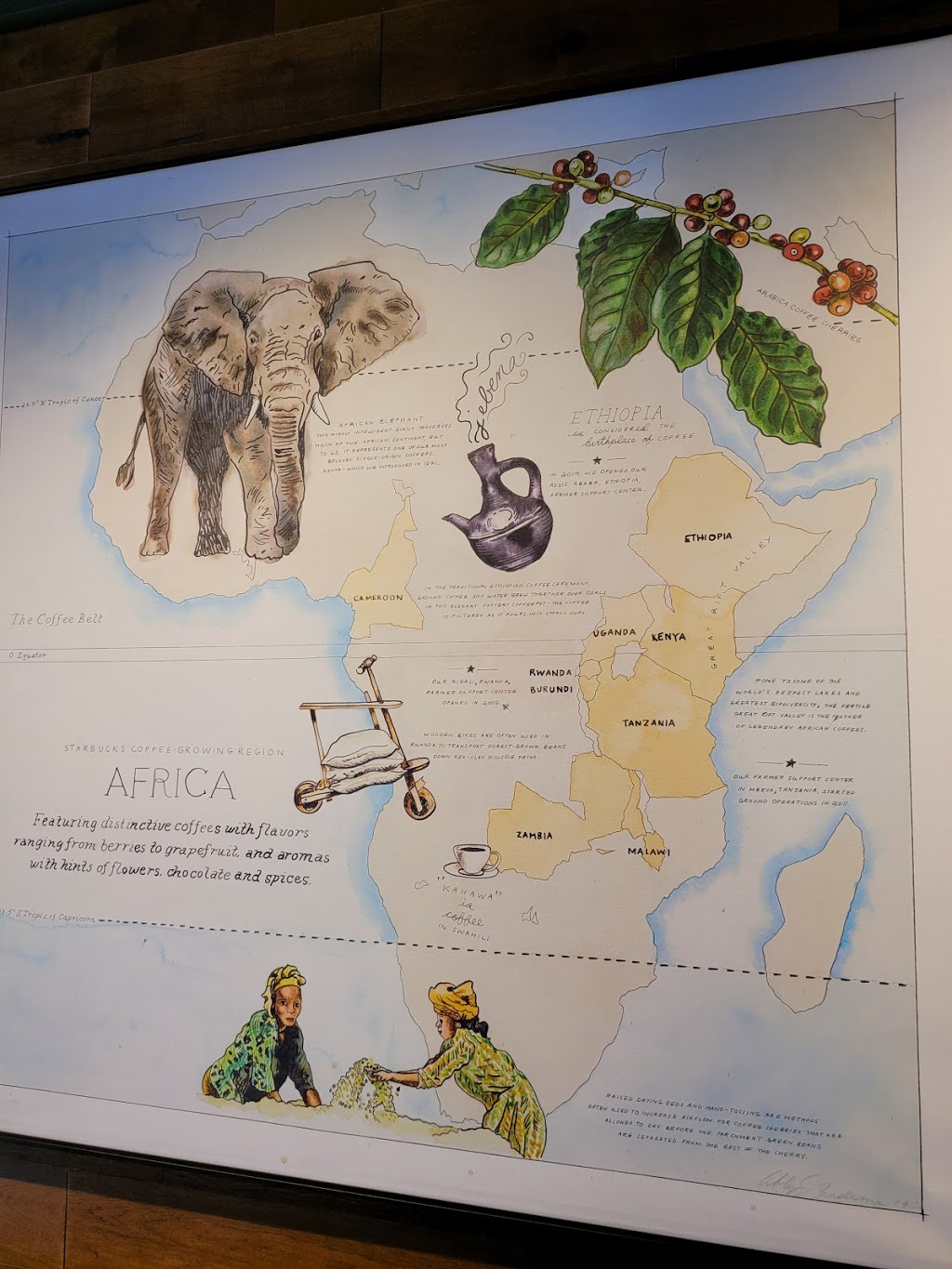 Starbucks | cafe | 13755 W Sunrise Blvd building 2, Sunrise, FL 33323, USA | 9548450971 OR +1 954-845-0971