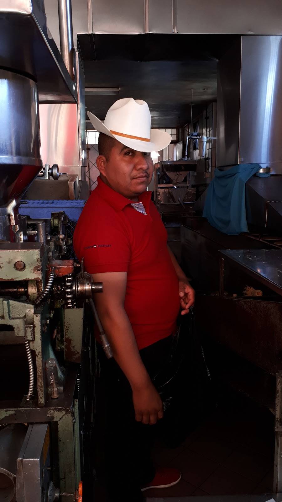 Tortilleria la Perla 2 | restaurant | Calle Rogelio Lavenant 6717, Camino Verde, 22190 Tijuana, B.C., Mexico | 016641156008 OR +52 664 115 6008