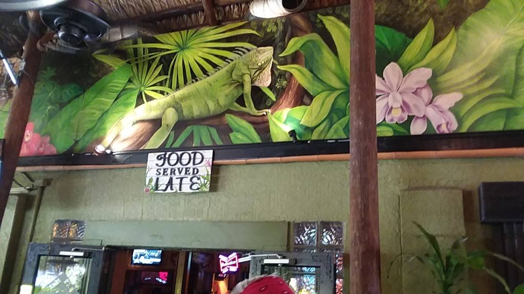 Green Iguana Bar & Grill | restaurant | 4029 S West Shore Blvd, Tampa, FL 33611, USA | 8138371234 OR +1 813-837-1234