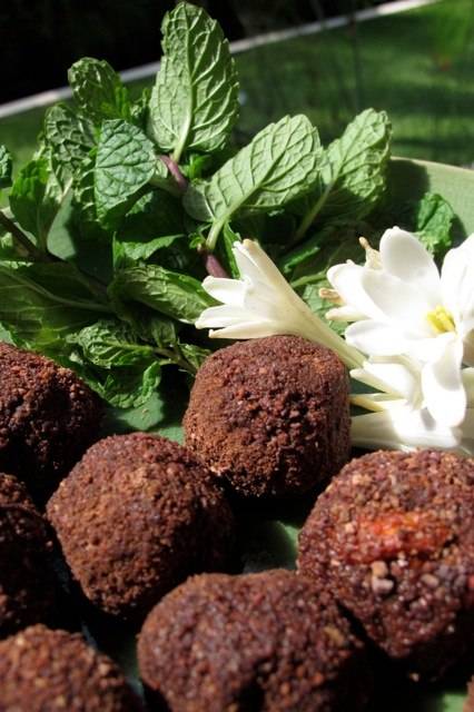 Jillian Love- Raw and Vegan Food Chef & Personal Coaching | restaurant | 486 Allen Rd, Woodside, CA 94062, USA | 5105456831 OR +1 510-545-6831