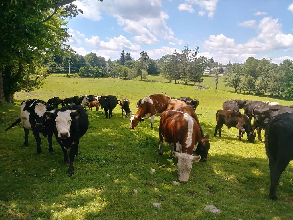 Schultz Farm and Barnside Cafe | cafe | 163 Maple Ave, Rutland, MA 01543, USA | 7742340405 OR +1 774-234-0405