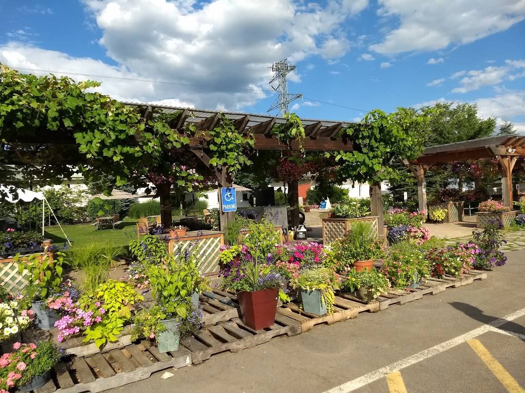 Wards Berry Farm | bakery | 614 S Main St, Sharon, MA 02067, USA | 7817843600 OR +1 781-784-3600