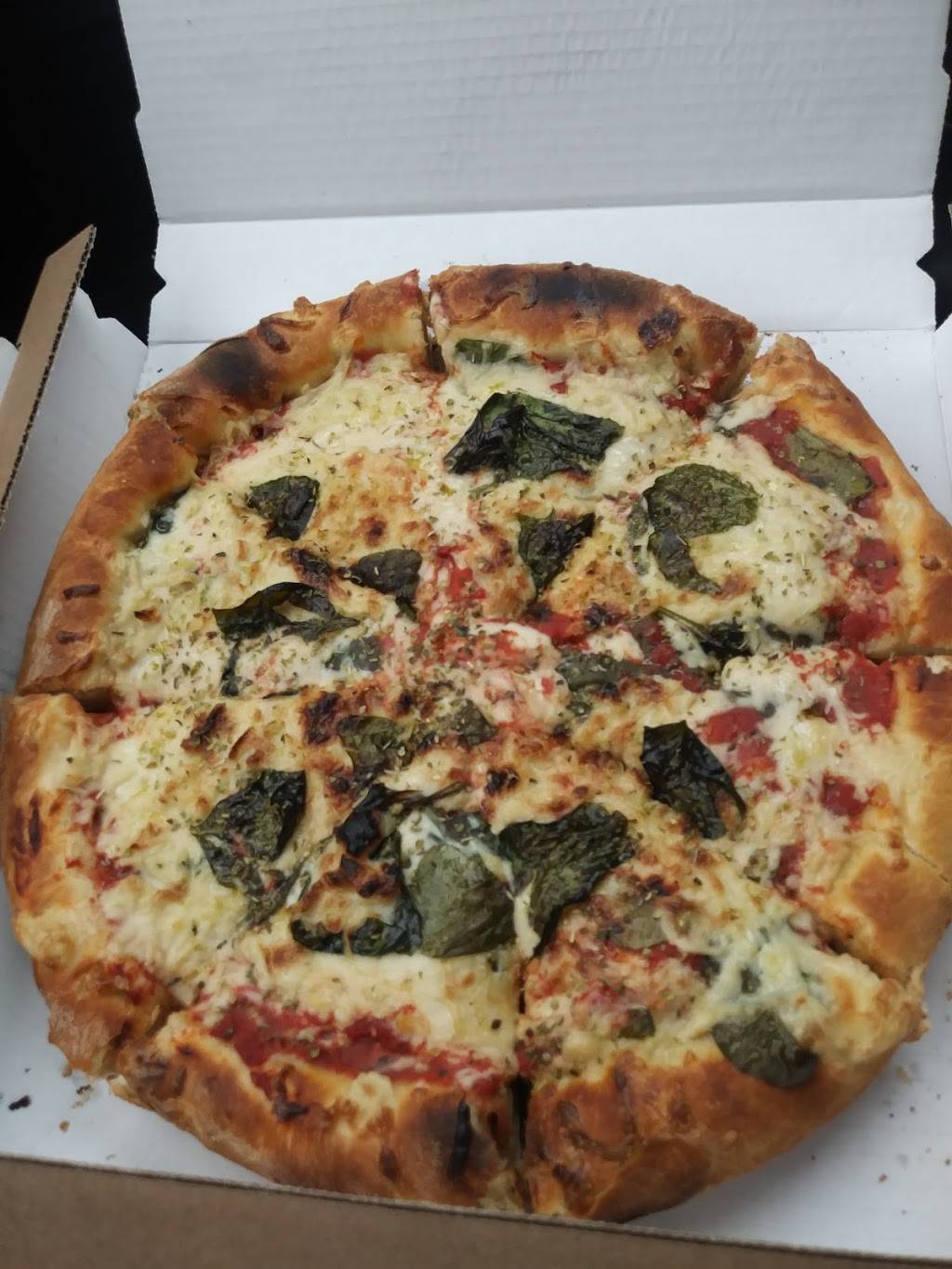 The Chicago House of Za Vegan Pizzeria | restaurant | 1939 W Byron St, Chicago, IL 60613, USA | 7737703848 OR +1 773-770-3848