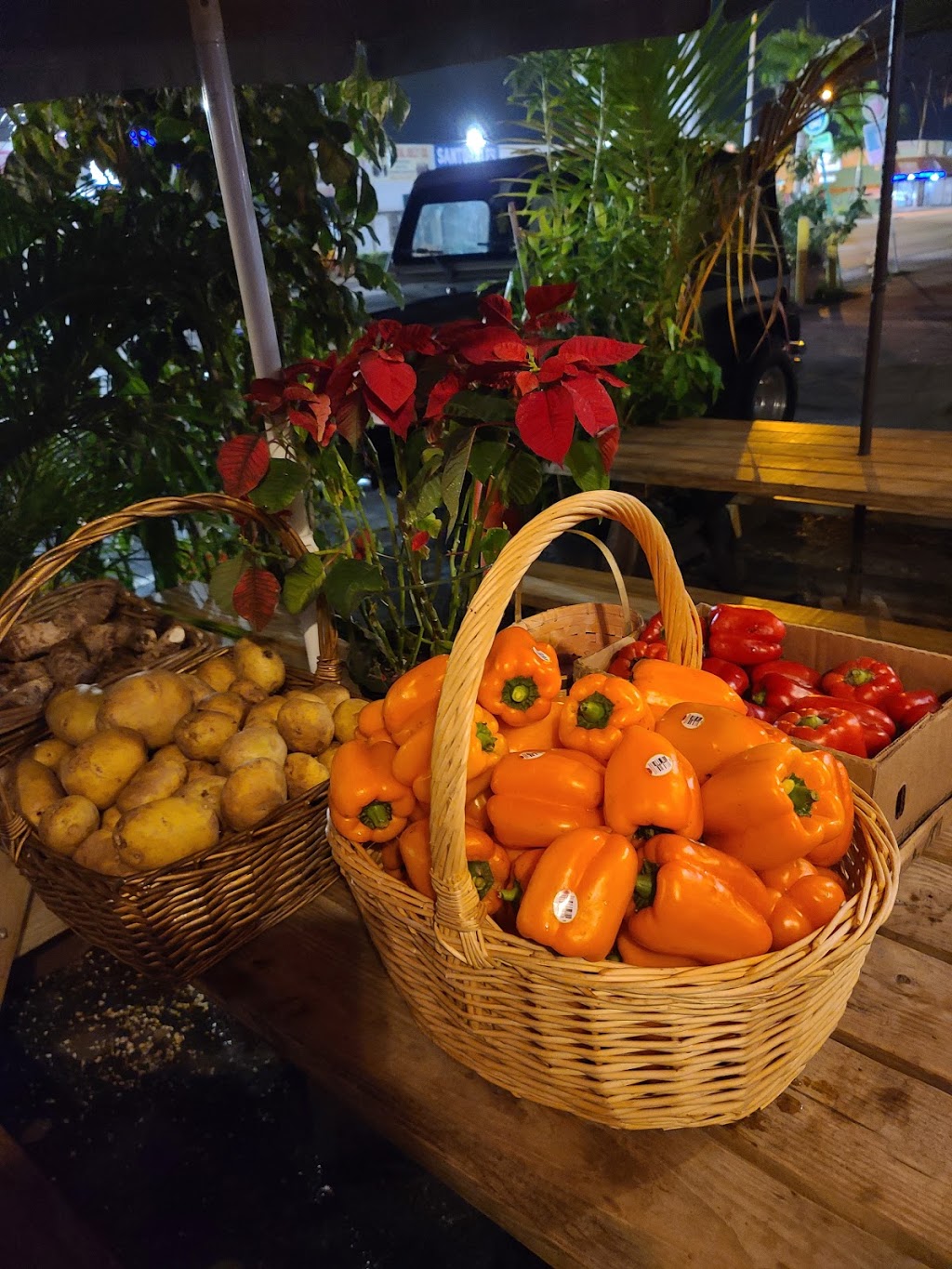 El zapo enamorado restaurant | restaurant | 2280 NW 20th St, Miami, FL 33142, USA | 7863086083 OR +1 786-308-6083