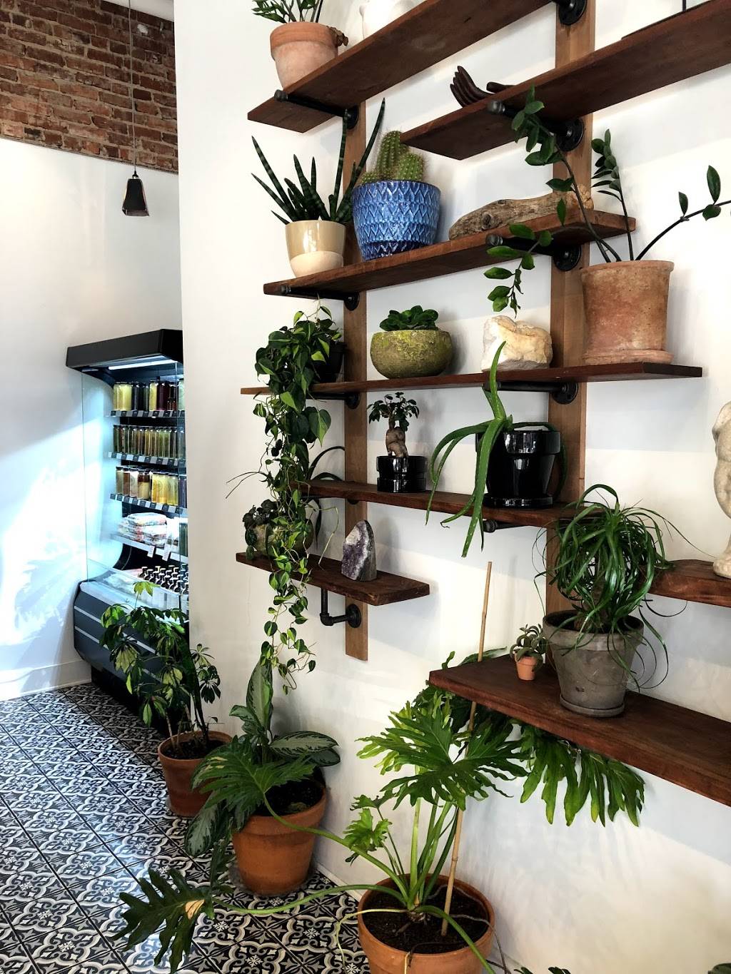 Southern Squeeze | restaurant | 1301 Dorchester Rd, Chattanooga, TN 37405, USA | 4234982898 OR +1 423-498-2898