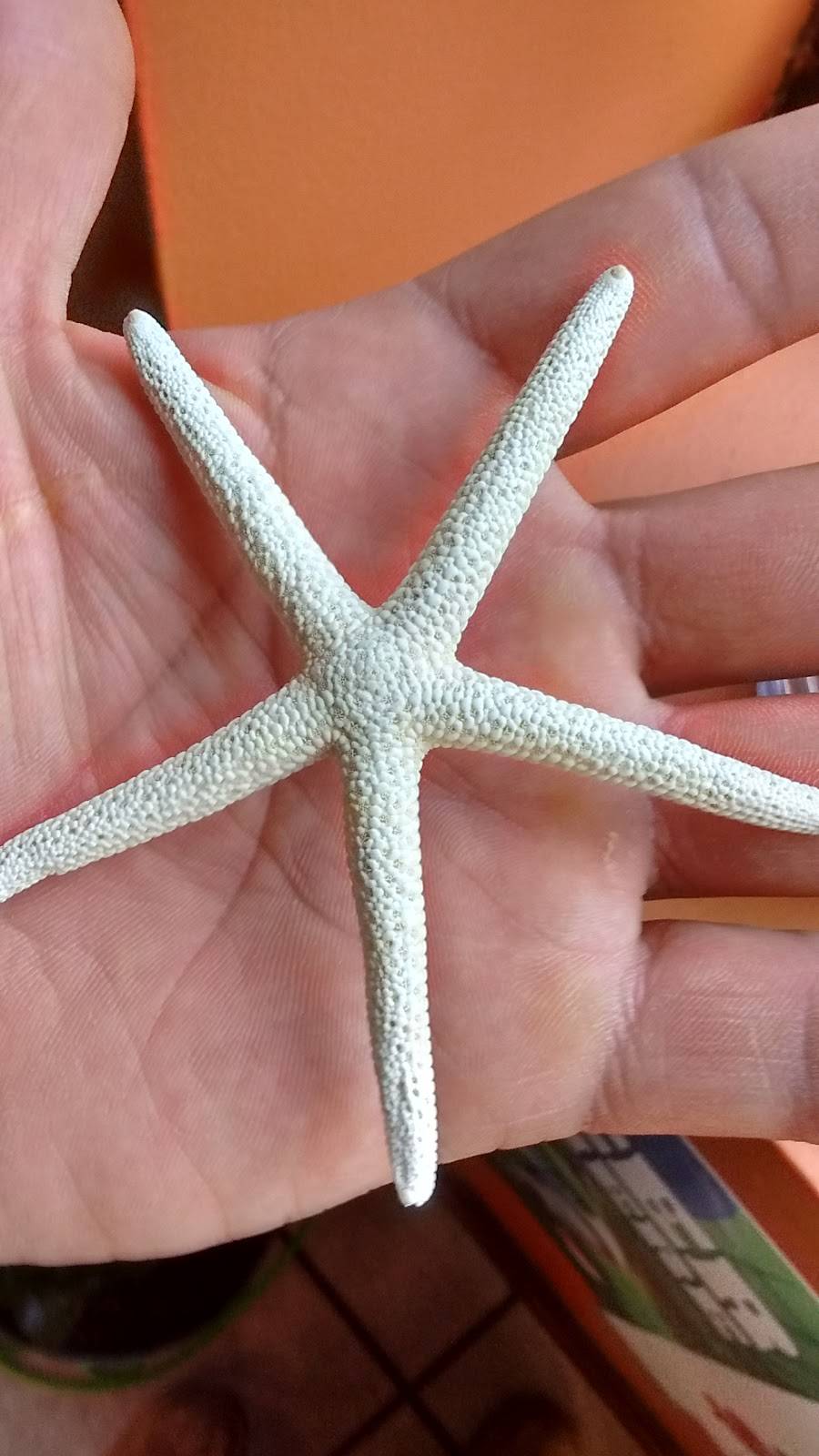 Burrito Mex | restaurant | 6033 S Archer Rd #1, Summit, IL 60501, USA | 7085948046 OR +1 708-594-8046