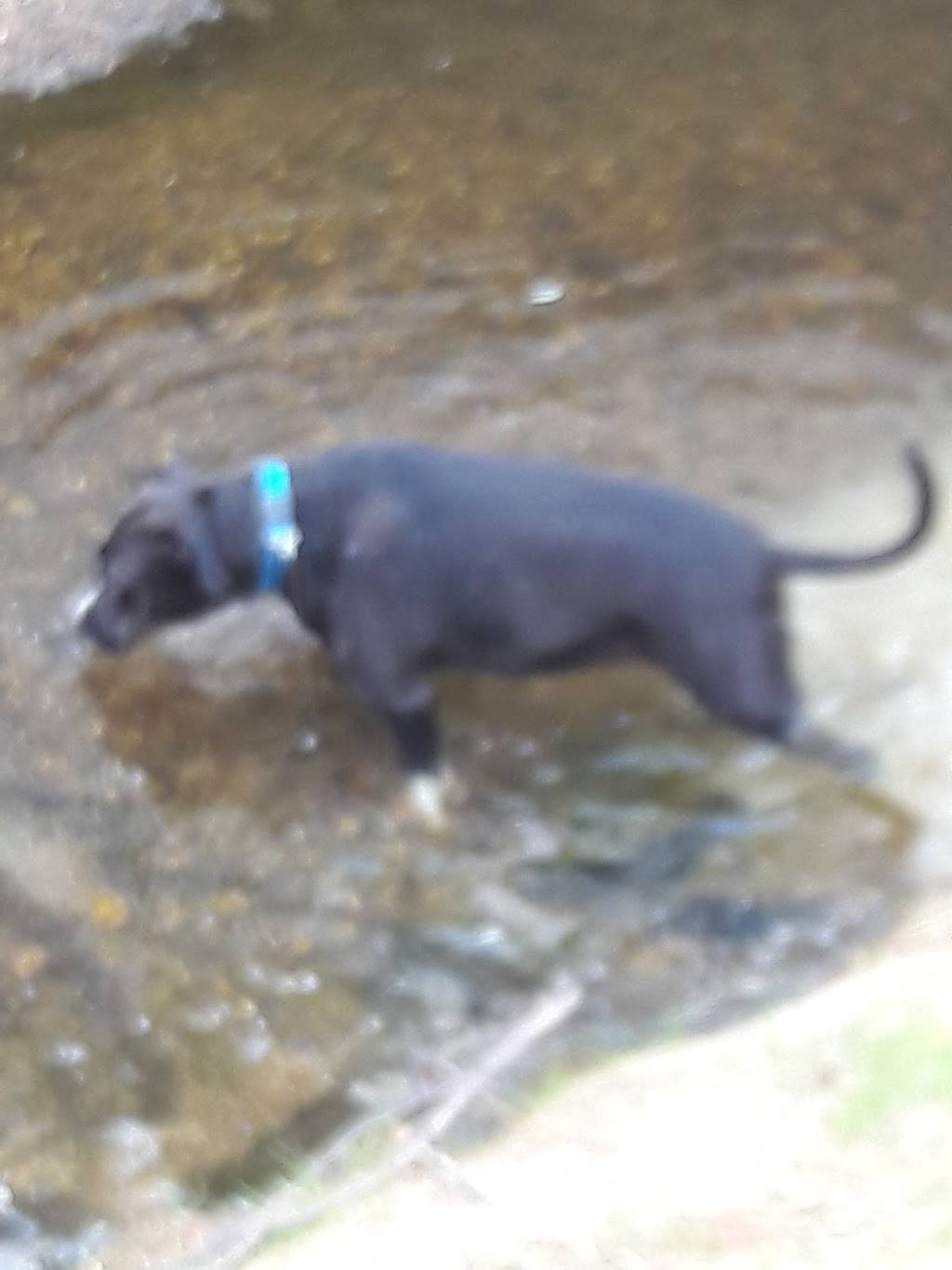 glass doctor of delaware | meal takeaway | Old Newark Rd, Newark, DE 19713, USA | 3027379900 OR +1 302-737-9900