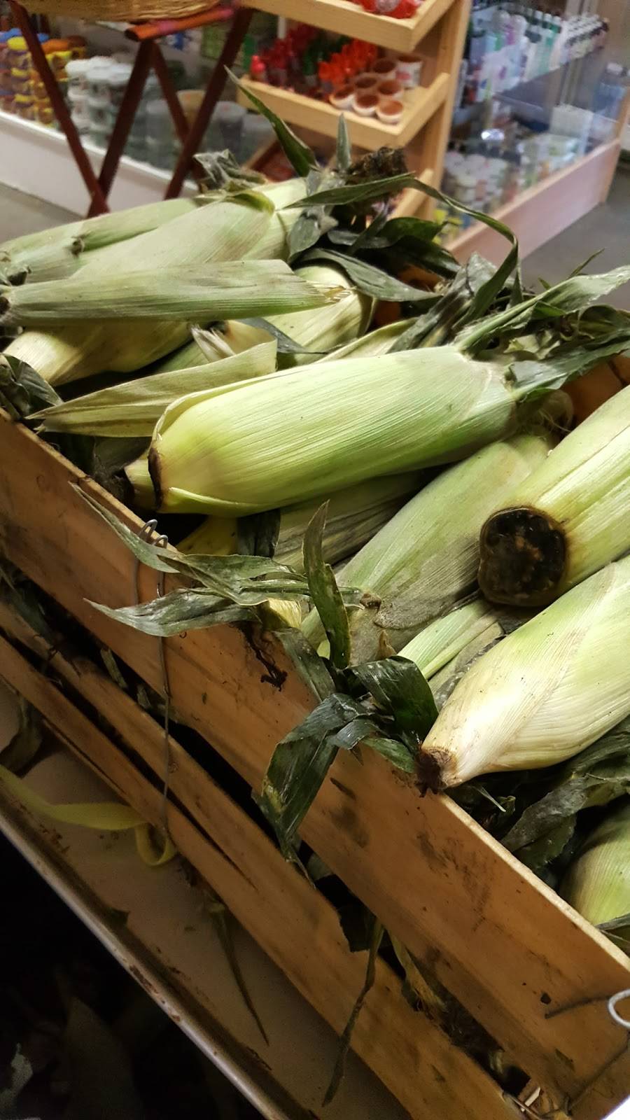 El Toro | restaurant | 5360 Hendersonville Rd, Fletcher, NC 28732, USA | 8286873999 OR +1 828-687-3999