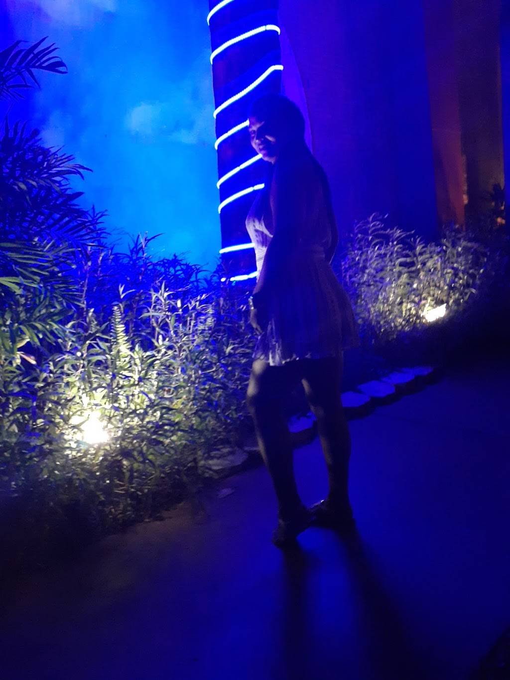 Cafe Luna at Ramada Inn | restaurant | 1100 Tamiami Trail N, Naples, FL 34102, USA | 2392345323 OR +1 239-234-5323