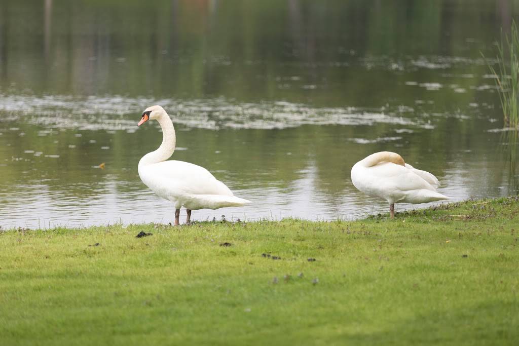 Nippersink Golf, Banquets & Hotel | restaurant | N1055 Tombeau Rd, Genoa City, WI 53128, USA | 2622796311 OR +1 262-279-6311