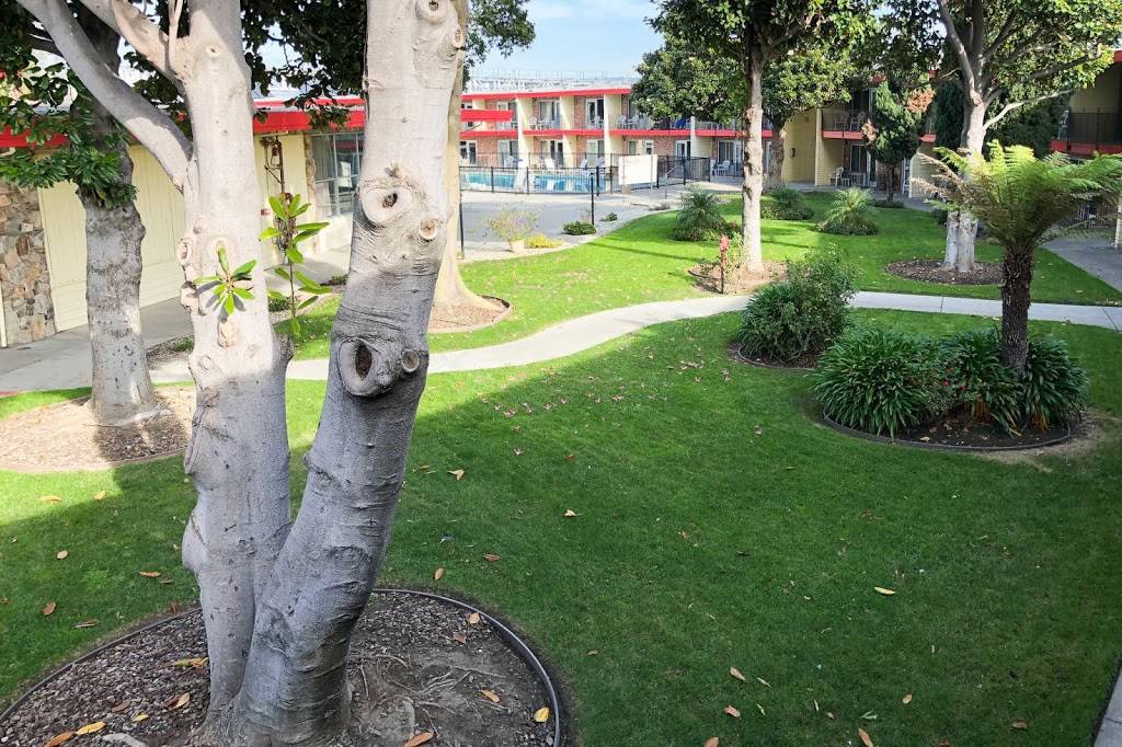 Econo Lodge Inn & Suites Oakland Airport | restaurant | 10 Hegenberger Rd, Oakland, CA 94621, USA | 5106351892 OR +1 510-635-1892