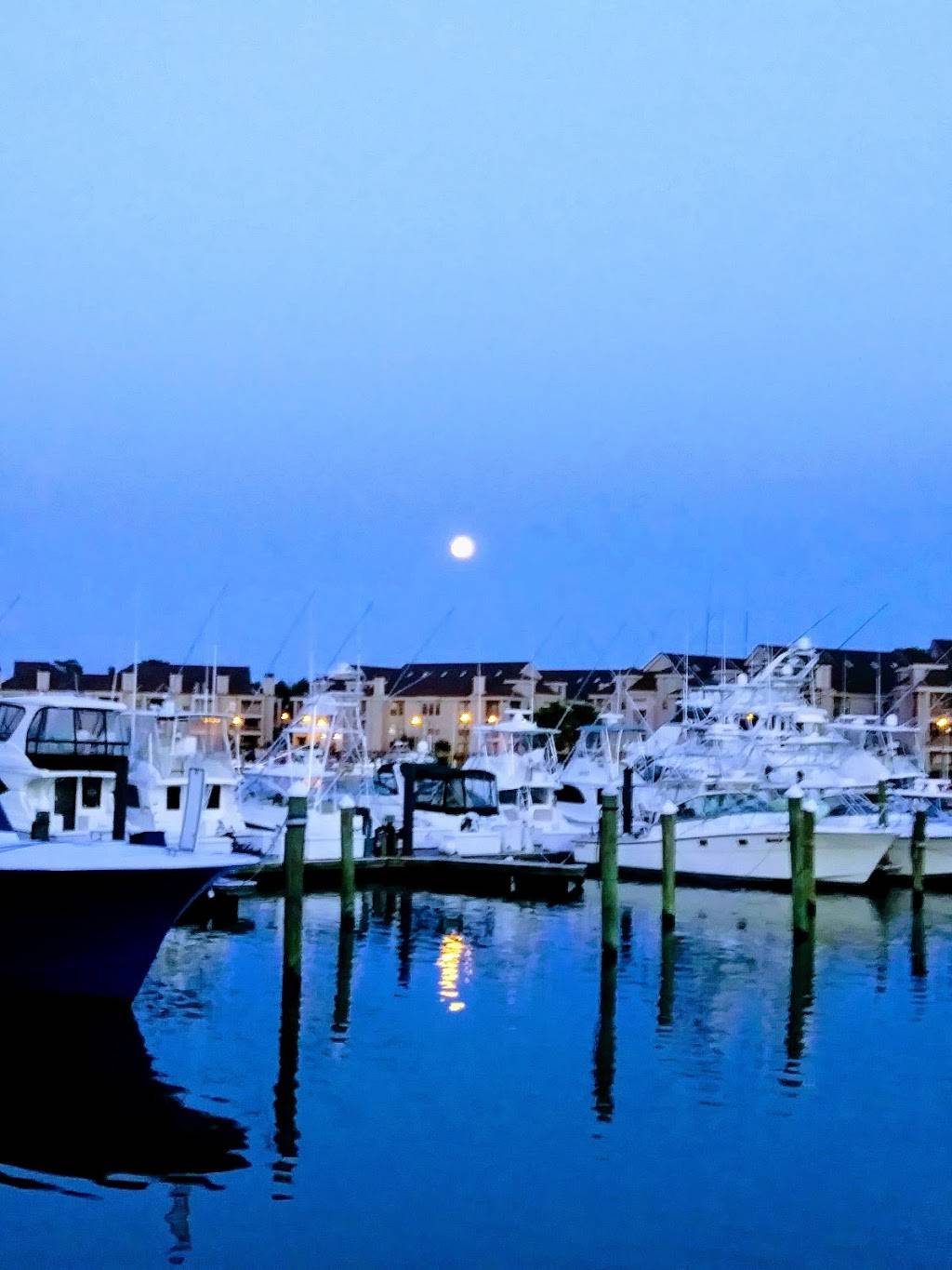 The Dock Grill | restaurant | 524 Winston Salem Ave, Virginia Beach, VA 23451, USA | 7574281667 OR +1 757-428-1667