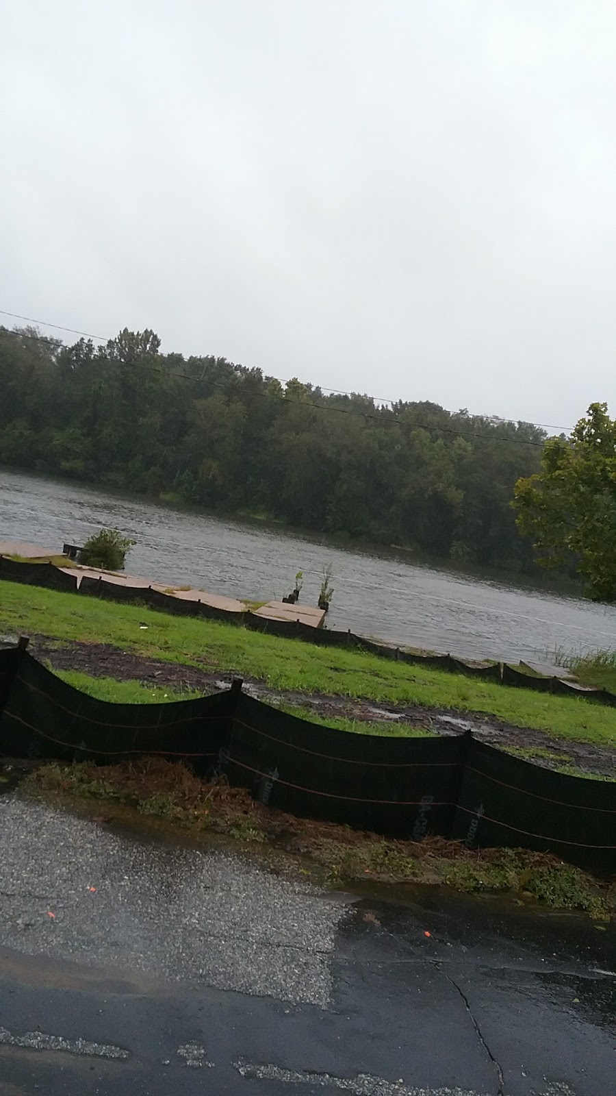 Yesterdays Diner | restaurant | 523 W Shotwell St, Bainbridge, GA 39819, USA | 2292461438 OR +1 229-246-1438