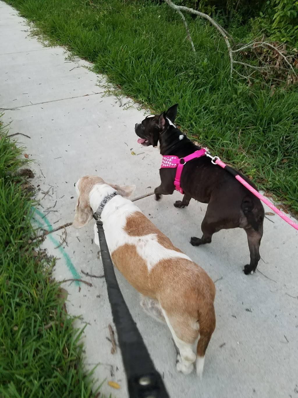 Dominos Pizza | meal delivery | 5976 SW 40th Ave, Fort Lauderdale, FL 33314, USA | 9549813030 OR +1 954-981-3030