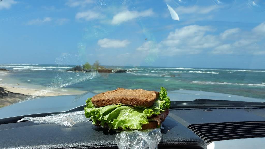 Sandys Sandwiches | restaurant | 59-654 Kamehameha Hwy, Haleiwa, HI 96712, USA | 8084994722 OR +1 808-499-4722