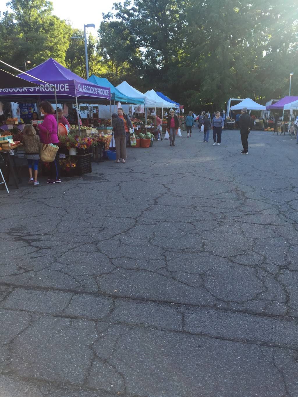 Pure Veg at Reston Farmers Market - Lake Anne | restaurant | 1609-A Washington Plaza N, Reston, VA 20190, USA | 2024951169 OR +1 202-495-1169