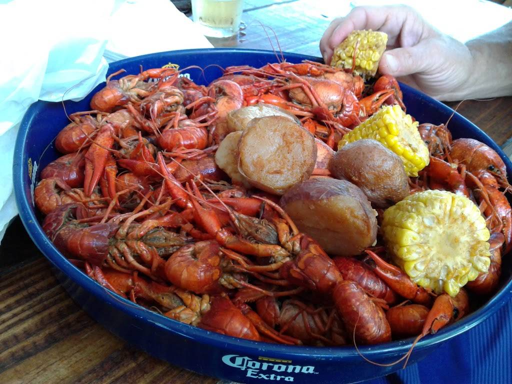 242 Pub & Grill | restaurant | 11525 FM 1097, Willis, TX 77318, USA | 9368568929 OR +1 936-856-8929