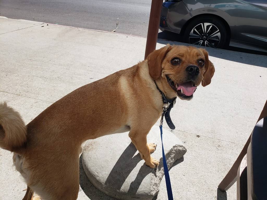 Market Provisions | restaurant | 8009 Beverly Blvd, Los Angeles, CA 90048, USA | 3236538009 OR +1 323-653-8009