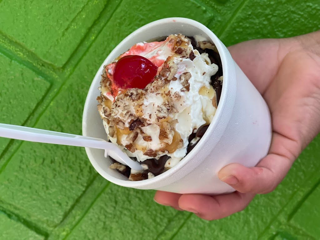 Cactus Cuisine and Ice Cream | restaurant | 805 W 3rd St, Mt Carmel, IL 62863, USA | 6182624226 OR +1 618-262-4226