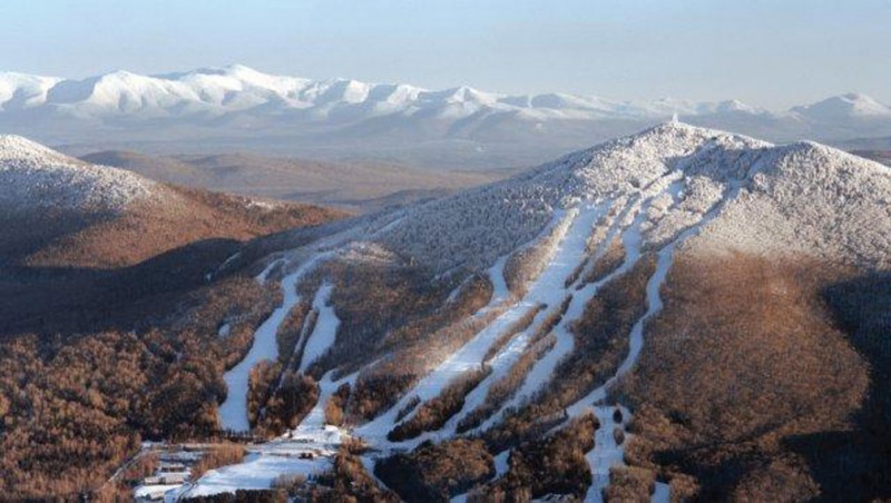 The Wildflower Inn | restaurant | 2059 Darling Hill Rd A, Lyndonville, VT 05851, USA | 8026268310 OR +1 802-626-8310